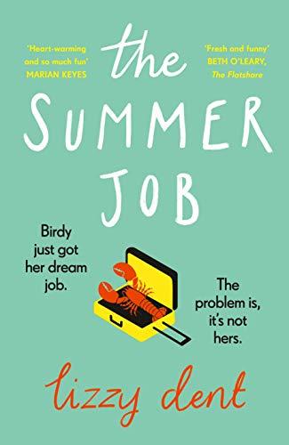 The Summer Job: A hilarious story about a lie that gets out of hand – soon to be a TV series