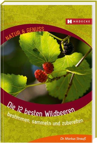 Die 12 besten Beeren: aus Wildsammlung und aus dem Garten