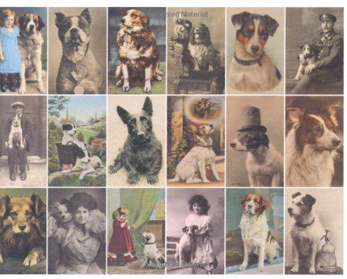 Postcard Dogs