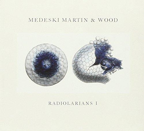 Radiolarians1