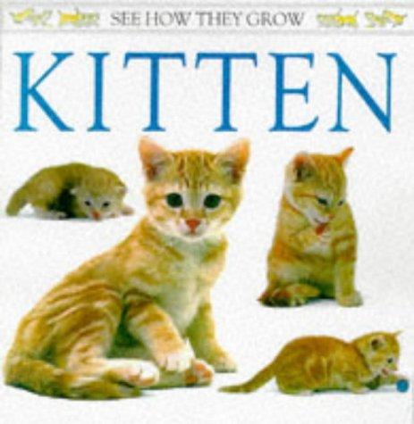 See How They Grow: Kitten