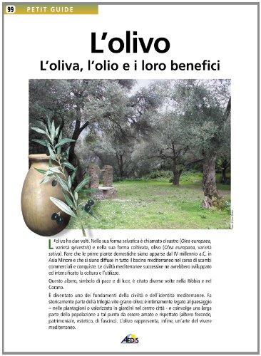 L'olivo : l'oliva, l'olio e i loro benefici