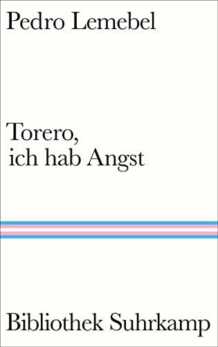 Torero, ich hab Angst: Roman | Der erste queere Liebesroman der Weltliteratur. (Bibliothek Suhrkamp)