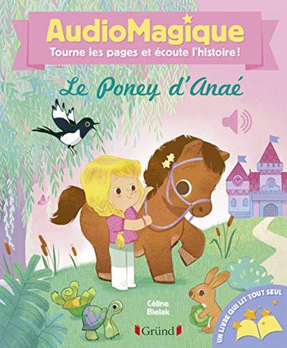 Le poney d'Anaé