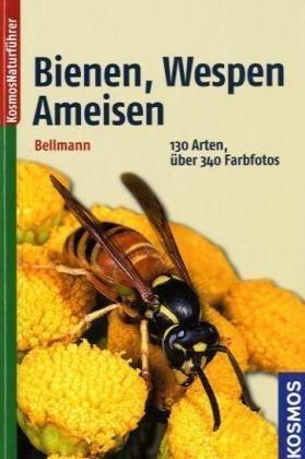 Bienen, Wespen, Ameisen: Hautflügler Mitteleuropas