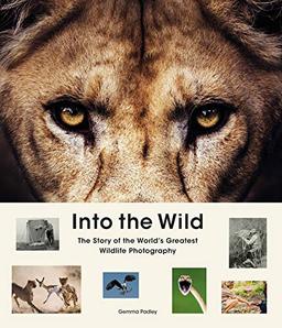 Into the Wild: The Story of the World's Greatest Wildlife Photography