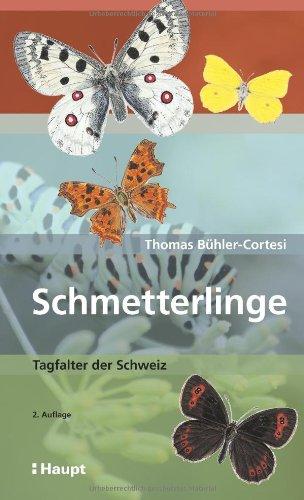 Schmetterlinge: Tagfalter der Schweiz