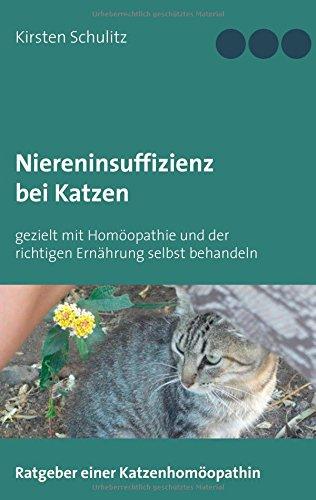 Niereninsuffizienz bei Katzen: gezielt mit Homöopathie und der richtigen Ernährung selbst behandeln