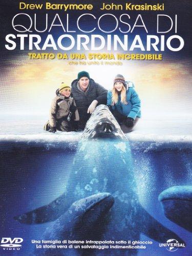 Qualcosa di straordinario [IT Import]