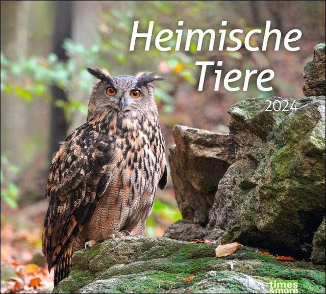 times&more Heimische Tiere Bildkalender 2024