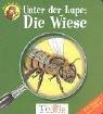 Die Wiese