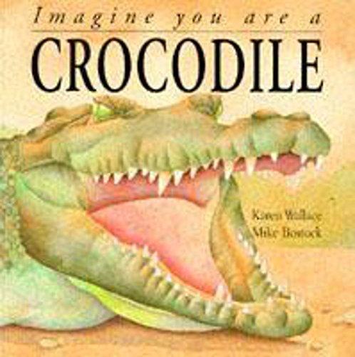 Crocodile