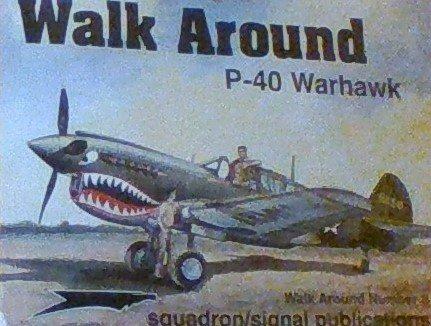 P-40 Warhawk (Walk Around, Band 8)