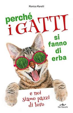 Perché I Gatti Si Fanno Di Erba E Noi Siamo Pazzi Di Loro