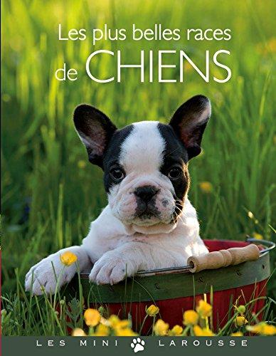 Les plus belles races de chiens