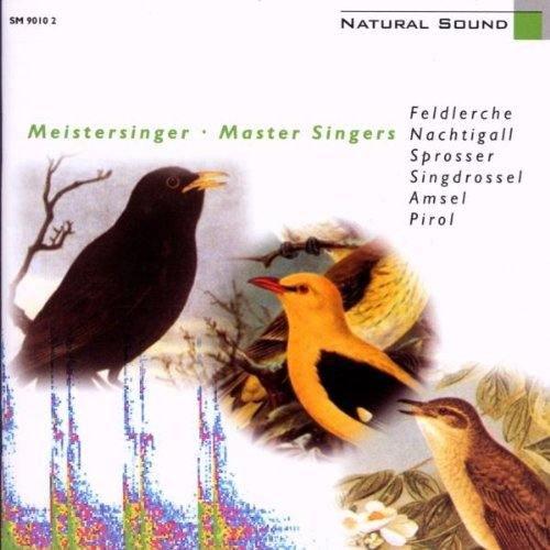 Natural Sound - Digitale Hörbilder - Meistersinger