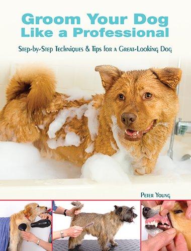 Groom Your Dog Like a Professional