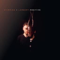 Positive [Vinyl LP]