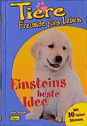 Tiere, Freunde fürs Leben, Bd.5, Einsteins beste Idee