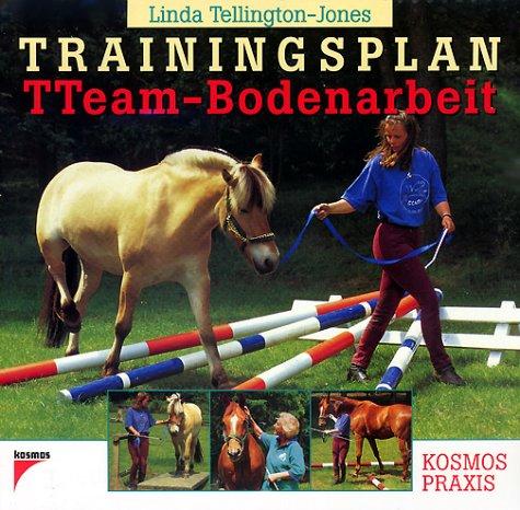 Trainingsplan TTEAM- Bodenarbeit