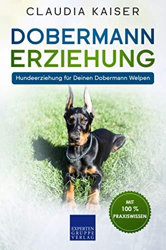 Dobermann Erziehung: Hundeerziehung für Deinen Dobermann Welpen