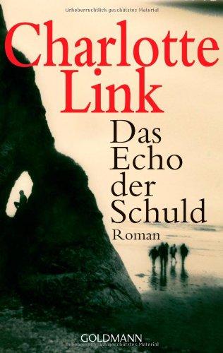 Das Echo der Schuld: Roman