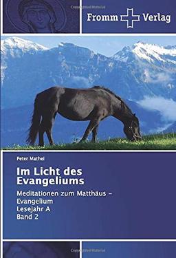 Im Licht des Evangeliums: Meditationen zum Matthäus - EvangeliumLesejahr ABand 2