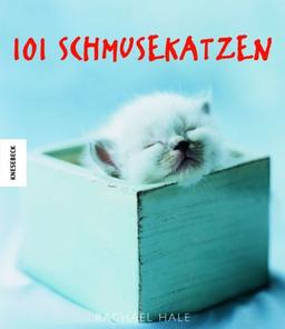 101 Schmusekatzen