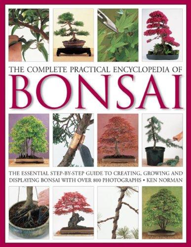 Norman, K: Complete Practical Encyclopedia of Bonsai: The Essential Step-By-Step Guide to Creating, Growing, and Displaying Bonsai with Over 800 Photographs