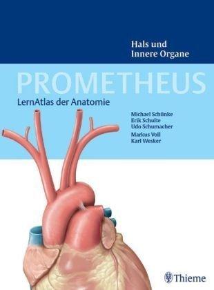 PROMETHEUS Lernatlas der Anatomie. Hals und Innere Organe