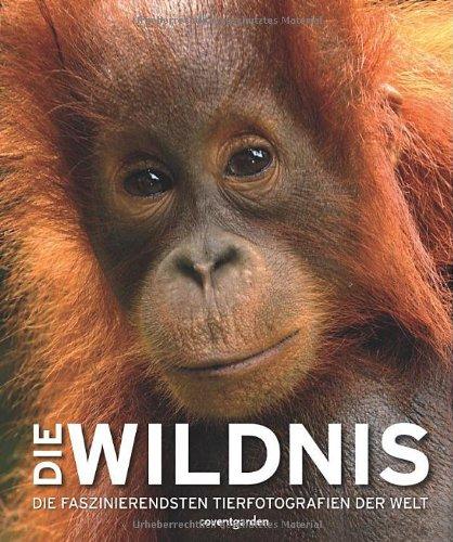 Die Wildnis: Die faszinierendsten Tierfotografien der Welt