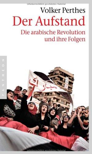 Der Aufstand: Die arabische Revolution und ihre Folgen