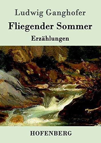 Fliegender Sommer: Erzählungen