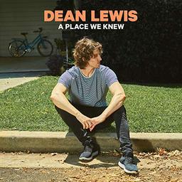 A Place We Knew (Vinyl) [Vinyl LP]