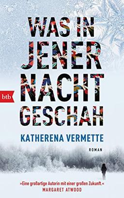 Was in jener Nacht geschah: Roman