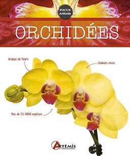 Orchidées