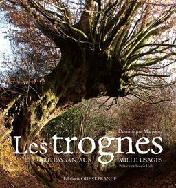 Les trognes : l'arbre paysan aux mille usages