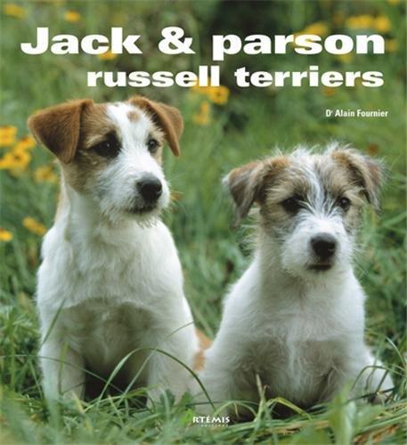 Jack et parson, russell terrier