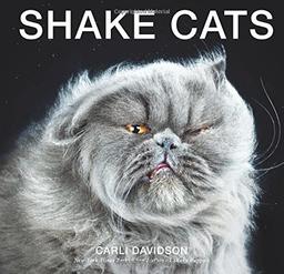 Shake Cats