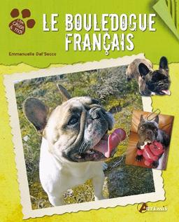 Le bouledogue français