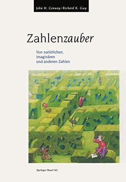 Zahlenzauber: Von Natürlichen, Imaginären Und Anderen Zahlen (German Edition)