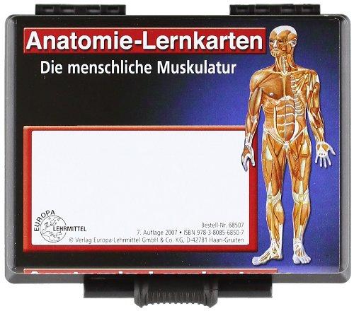 Anatomie-Lernkarten. Die menschliche Muskulatur: Anatomie, Funktion, Innervation