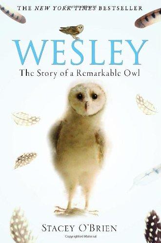 Wesley: The Remarkable Story of an Owl