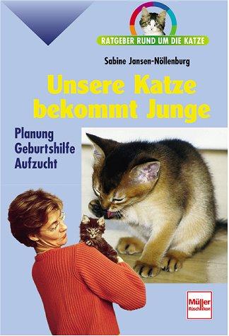 Unsere Katze bekommt Junge. Ratgeber rund um die Katze.