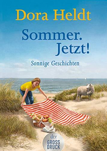 Sommer. Jetzt!: Sonnige Geschichten (dtv großdruck)