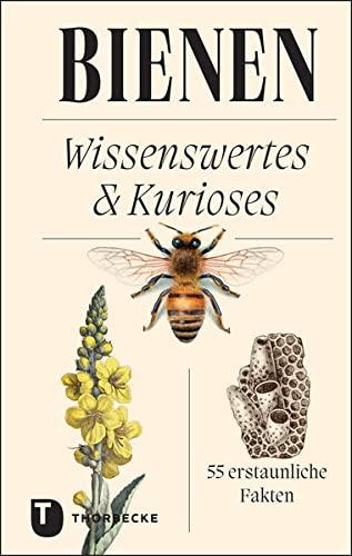 Bienen: Wissenswertes & Kurioses – 55 erstaunliche Fakten