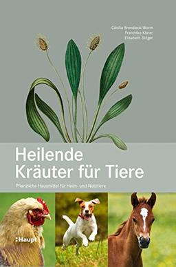 Heilende Kräuter für Tiere: Pflanzliche Hausmittel für Heim- und Nutztiere