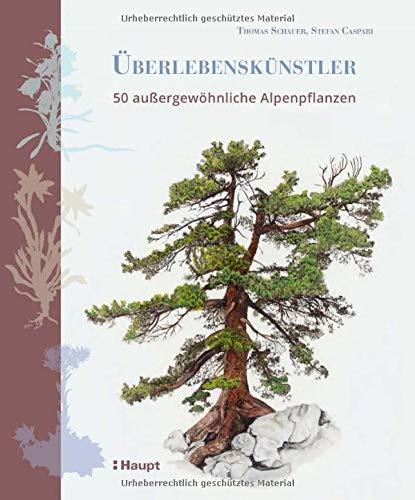 Überlebenskünstler: 50 außergewöhnliche Alpenpflanzen