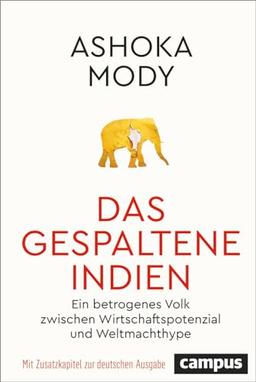 Das gespaltene Indien: Ein betrogenes Volk zwischen Wirtschaftspotenzial und Weltmachthype