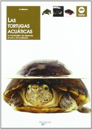 Las tortugas acuáticas